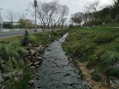 -羊山湖公园