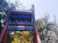 -香山公园