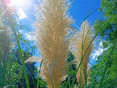 -贵阳市花溪国家城市湿地公园