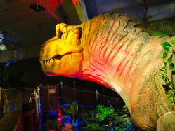 点击看大图 -恐龙探索乐园(磁器口店)