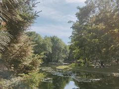 -长白岛森林公园