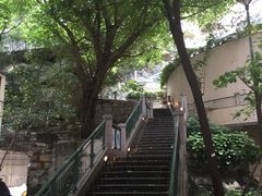 -香港大学