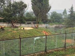 -昆明动物园
