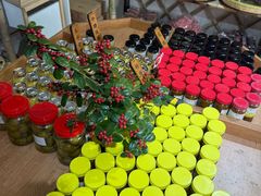 -苏州市吴中区光福窑上花果蜜饯厂