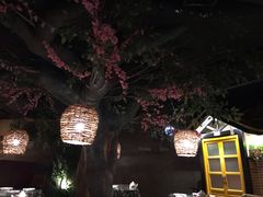 大堂-树下时尚餐厅(翠园街店)