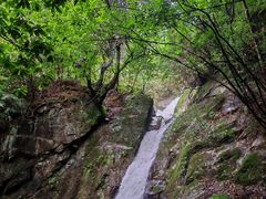 -花溪风景区