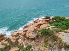 -广东惠东海龟国家级自然保护区