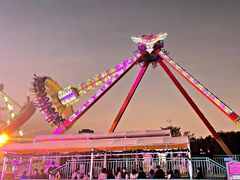 -巨鹏飞梦幻海岸