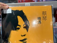 -浣熊唱片店(上海影城店)