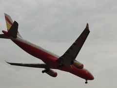 -空港花田景区