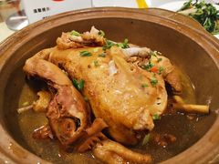 -天地生态农庄