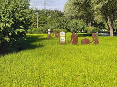 -北坞公园