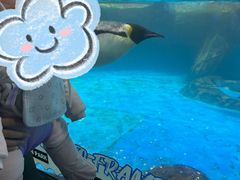 -海合安武汉极地海洋公园
