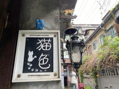 -猫色咖啡·猫咖