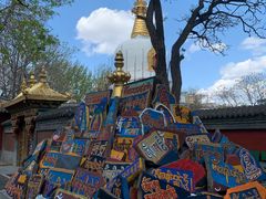 -护国法轮寺