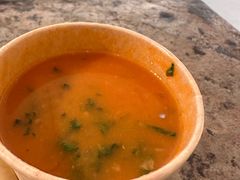 -油梨树AVOCADO TREE(顺义新国展店)