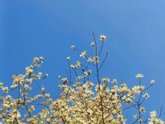 -西安创业咖啡街区