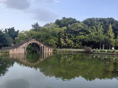 -江心屿景区