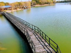 -上海崇明金茂凯悦酒店