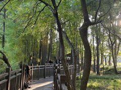 -东湖落雁景区