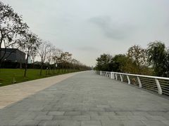-上海山野camping·户外天幕烧烤·团建拓展营地