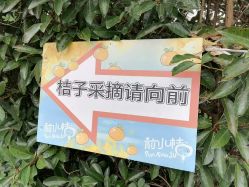 -前小桔亲子创意农场·草莓采摘·露营烧烤