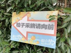 -前小桔亲子创意农场·草莓采摘·露营烧烤