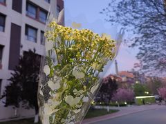 -大连理工大学(凌水校区)