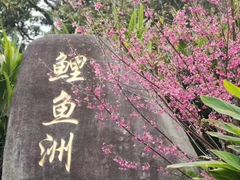 -福建鲤鱼洲酒店