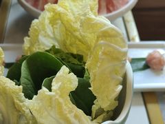 -探窝·竹笙椰子鸡(车陂店)