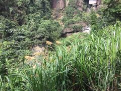 -庐山碧龙潭风景区