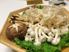 -鲐赏河豚(长寿店)