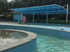 -南宫温泉水世界