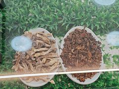 -凤百年大骨鸡饭庄