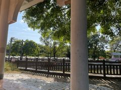 -光明农场大观园