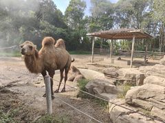 -宁波野生动物园