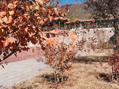 -北京十三陵国家森林公园蟒山景区