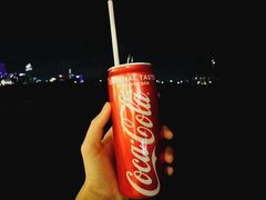-西贡河游船