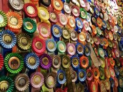 -more than meow吴止猫主题餐厅(承德 中船汇店)