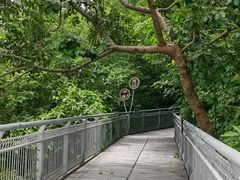 -佛山华盖山公园