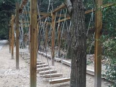 -龙湾潭国家森林公园