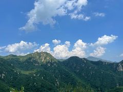 -大岭沟猕猴桃谷风景区