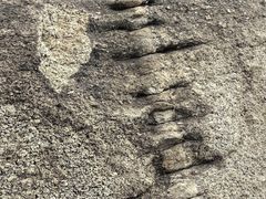 -白水寺森林公园