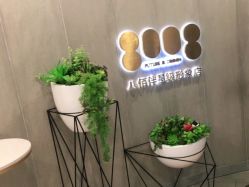 点击看大图 -八佰伴8008星级形象店