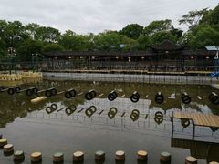 -张公山寨景区