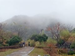 -千岛湖石林