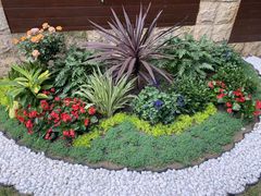 -老房子金沙元年川菜食府·花园餐厅(金沙店)