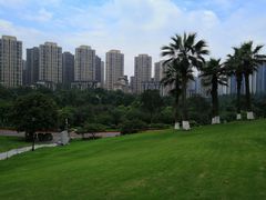 -龙头寺公园