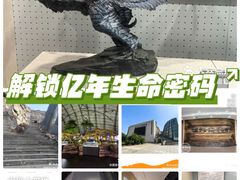 -辽宁古生物博物馆