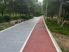 -绿堤公园